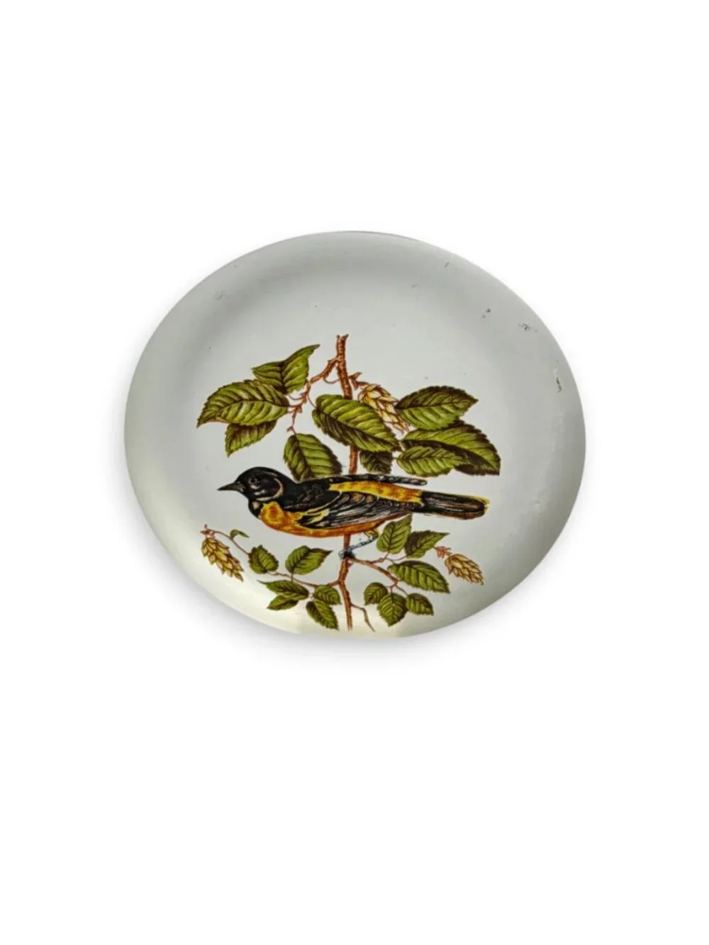 Art Glass Oriole Suncatcher Paperweight Bird Lovers Round Heavy Vintage 3.5